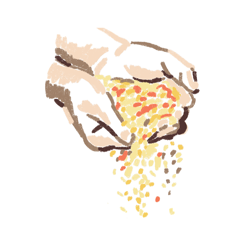 An animation of hands holding grains