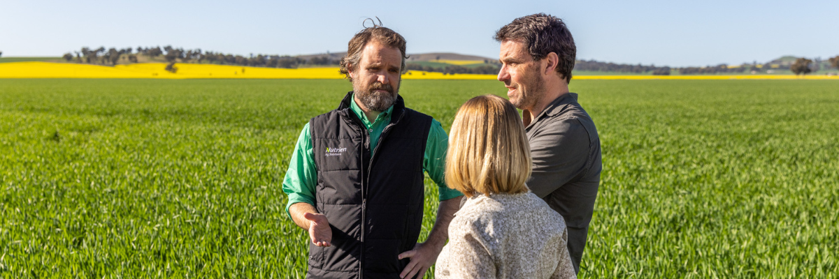 An agronomist talking to farmers standing in a field of canola