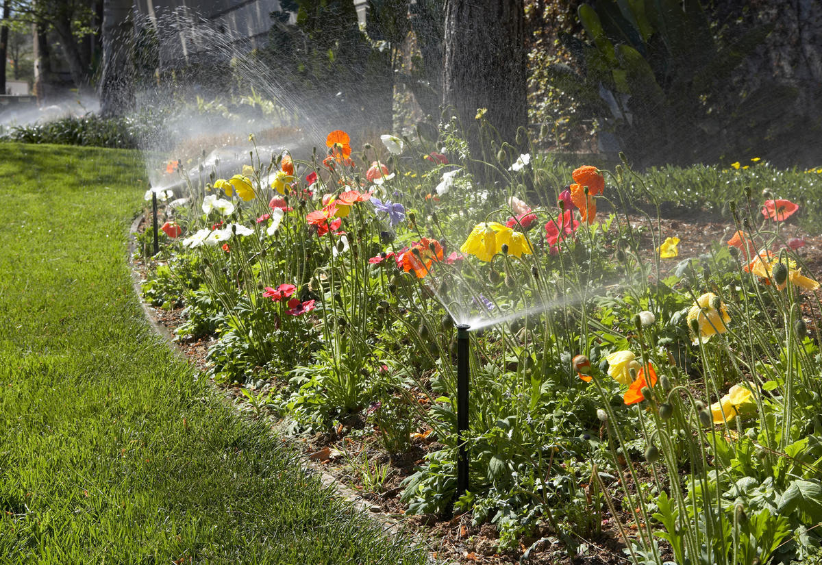 Garden Irrigation.jpg 